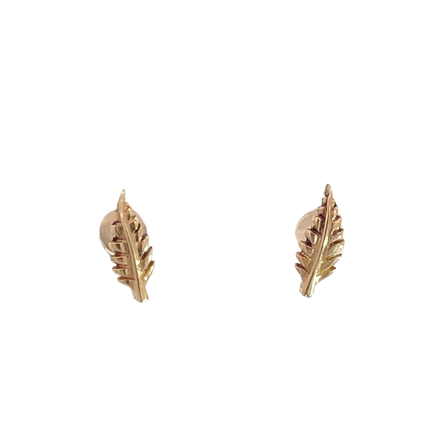 9ct Yellow Gold Silver Fern Earrings