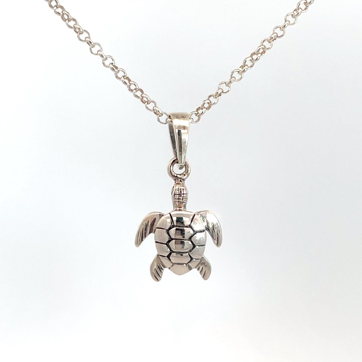 Sterling Silver Turtle Pendant and Chain