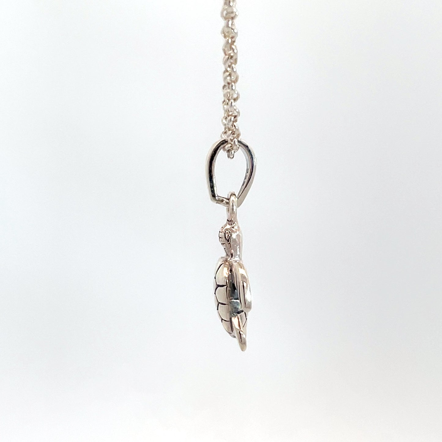 Sterling Silver Turtle Pendant and Chain
