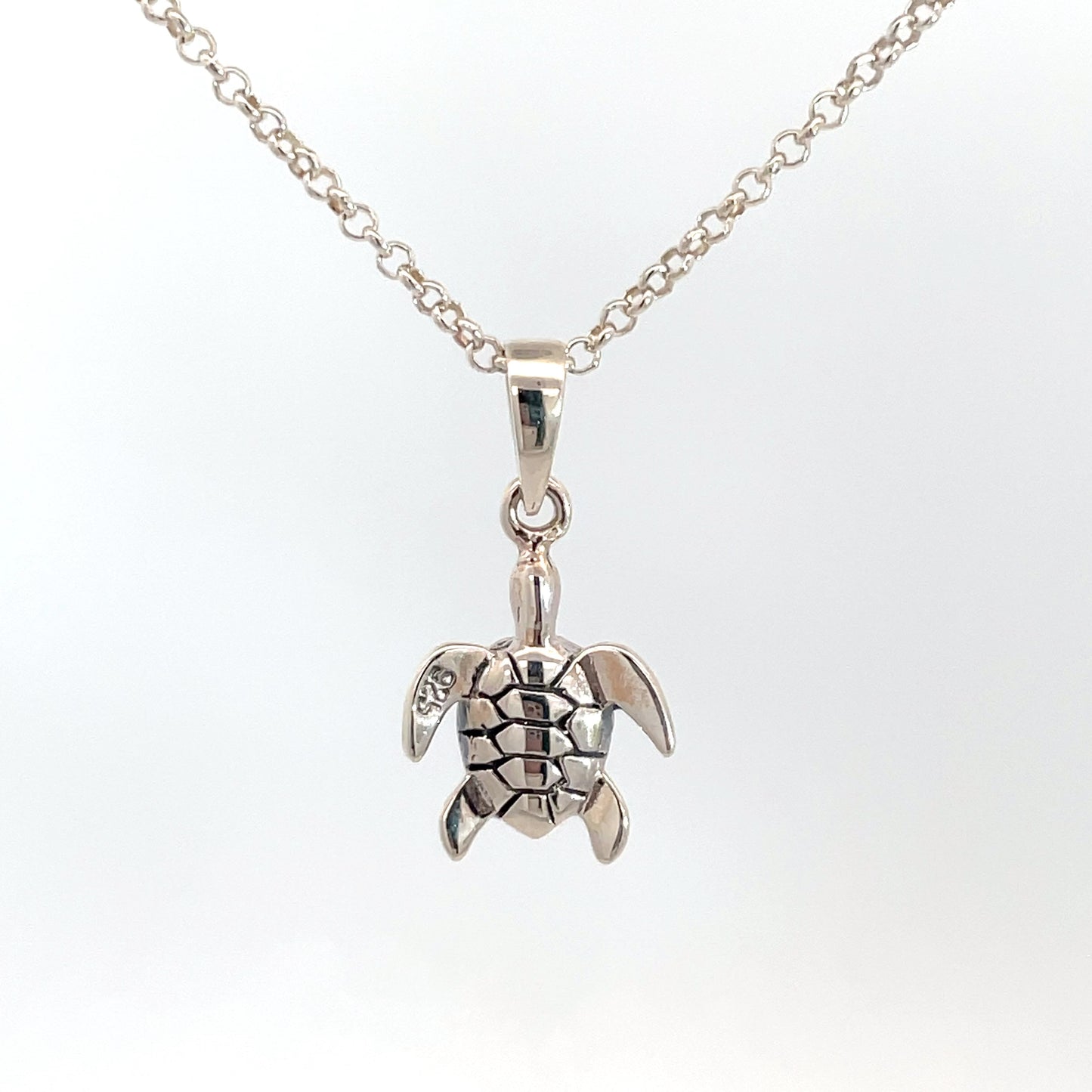 Sterling Silver Turtle Pendant and Chain