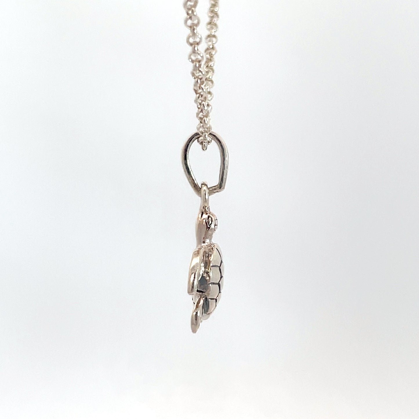 Sterling Silver Turtle Pendant and Chain
