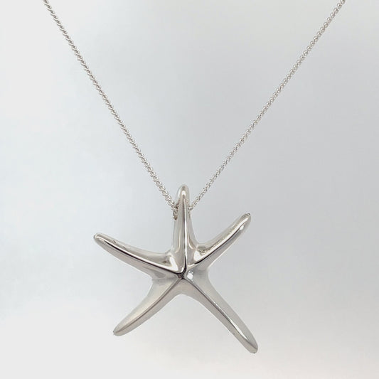 Sterling Silver Starfish Pendant and Chain